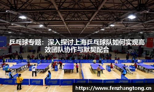 乒乓球专题：深入探讨上海乒乓球队如何实现高效团队协作与默契配合