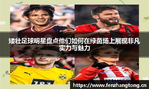 矮壮足球明星盘点他们如何在绿茵场上展现非凡实力与魅力