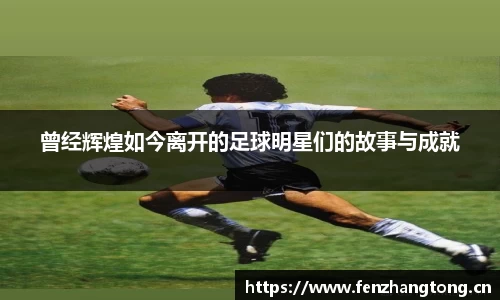 曾经辉煌如今离开的足球明星们的故事与成就