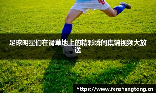 足球明星们在滑草地上的精彩瞬间集锦视频大放送