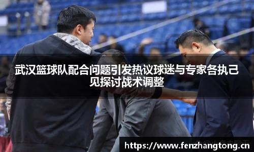 武汉篮球队配合问题引发热议球迷与专家各执己见探讨战术调整